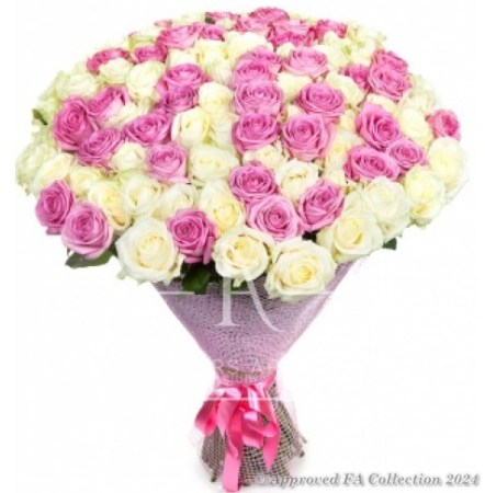 Pink & White Roses
