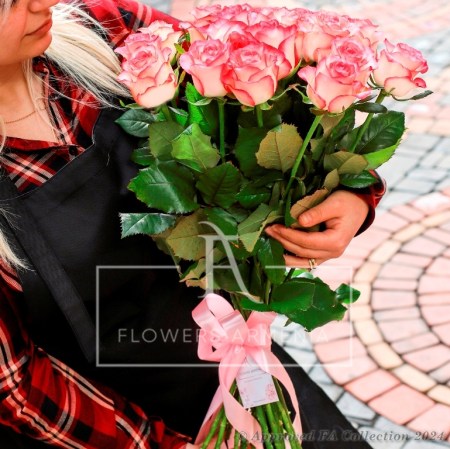 21 Pink Destiny Roses