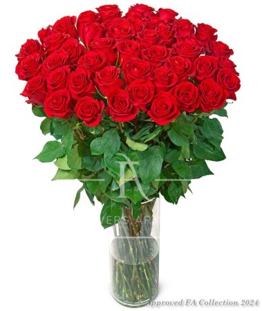 Premium Red Roses