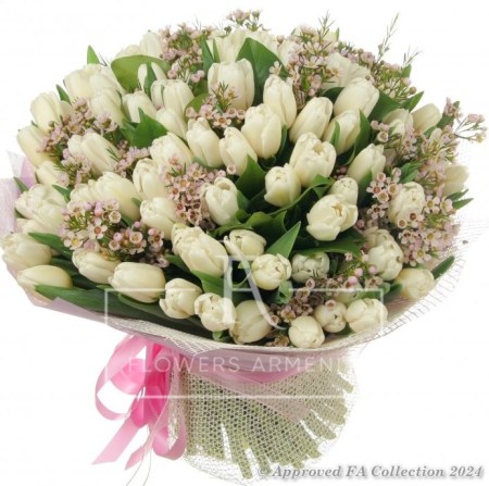 Mystique Blooms at 101 Tulips