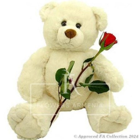 A Red Rose & Teddy Bear