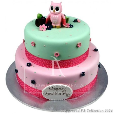 Baby Owl Cake