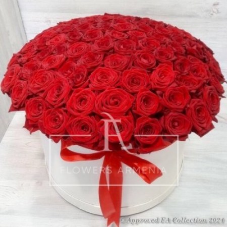 Large White Box with Red Roses