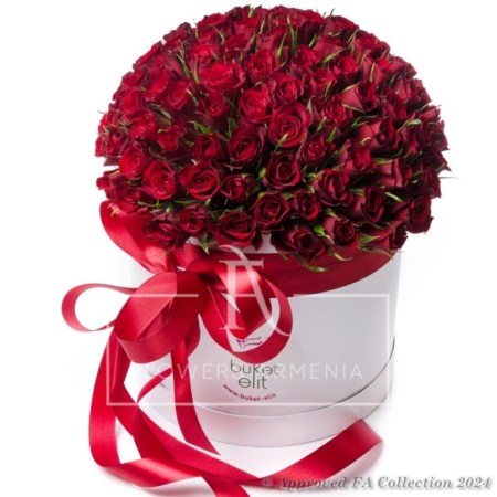 101 Red Roses in the Box