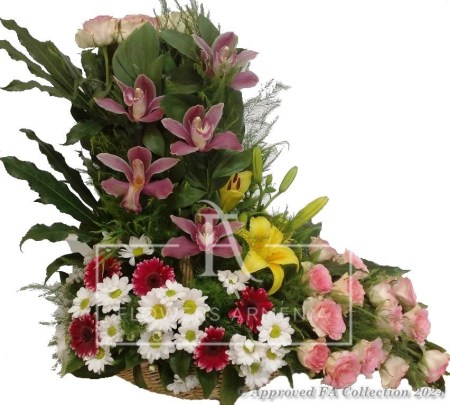 A Breath of Fresh Air