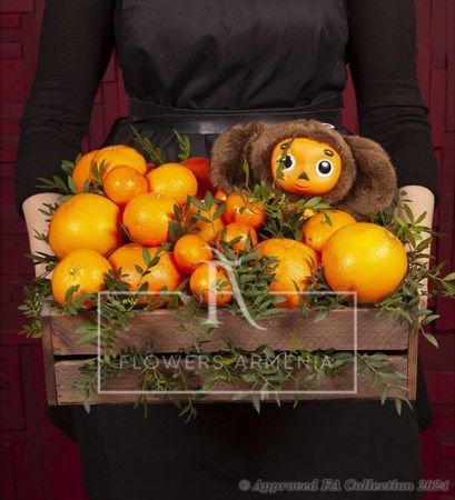 Unusual and nice winter gift