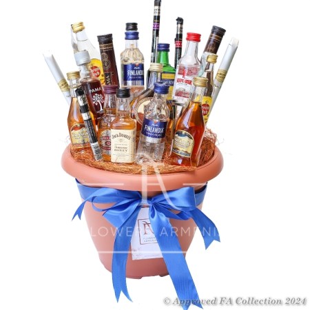 Jolly Basket for Men