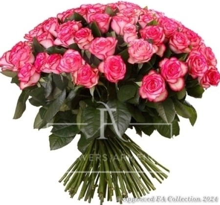 51 Adorable Pink Roses