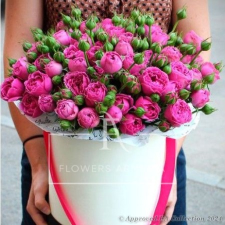 Magnificent Pink Sapphire