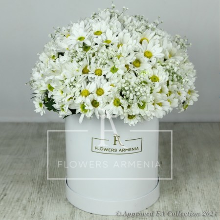 Blissful Petal Cascade