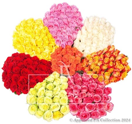 Colorful Collage of 301 Roses