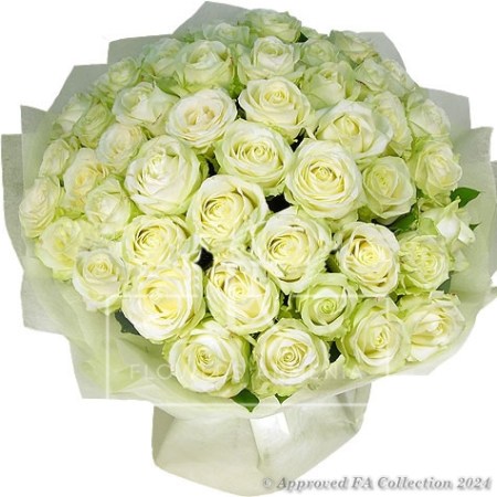 51 Extra large White Roses