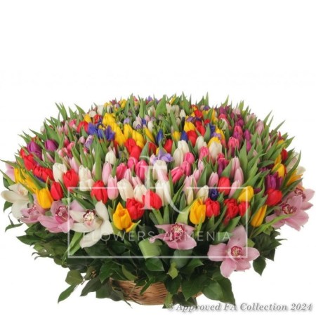 Royal Tulip Basket
